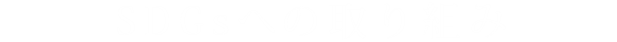 SDGs